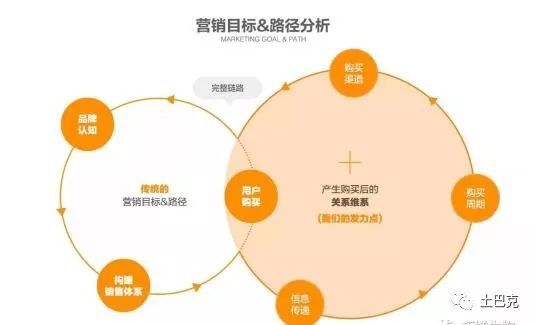 互聯網+合作社 新型農業開啟致富新篇章，數據處理服務成為關鍵引擎